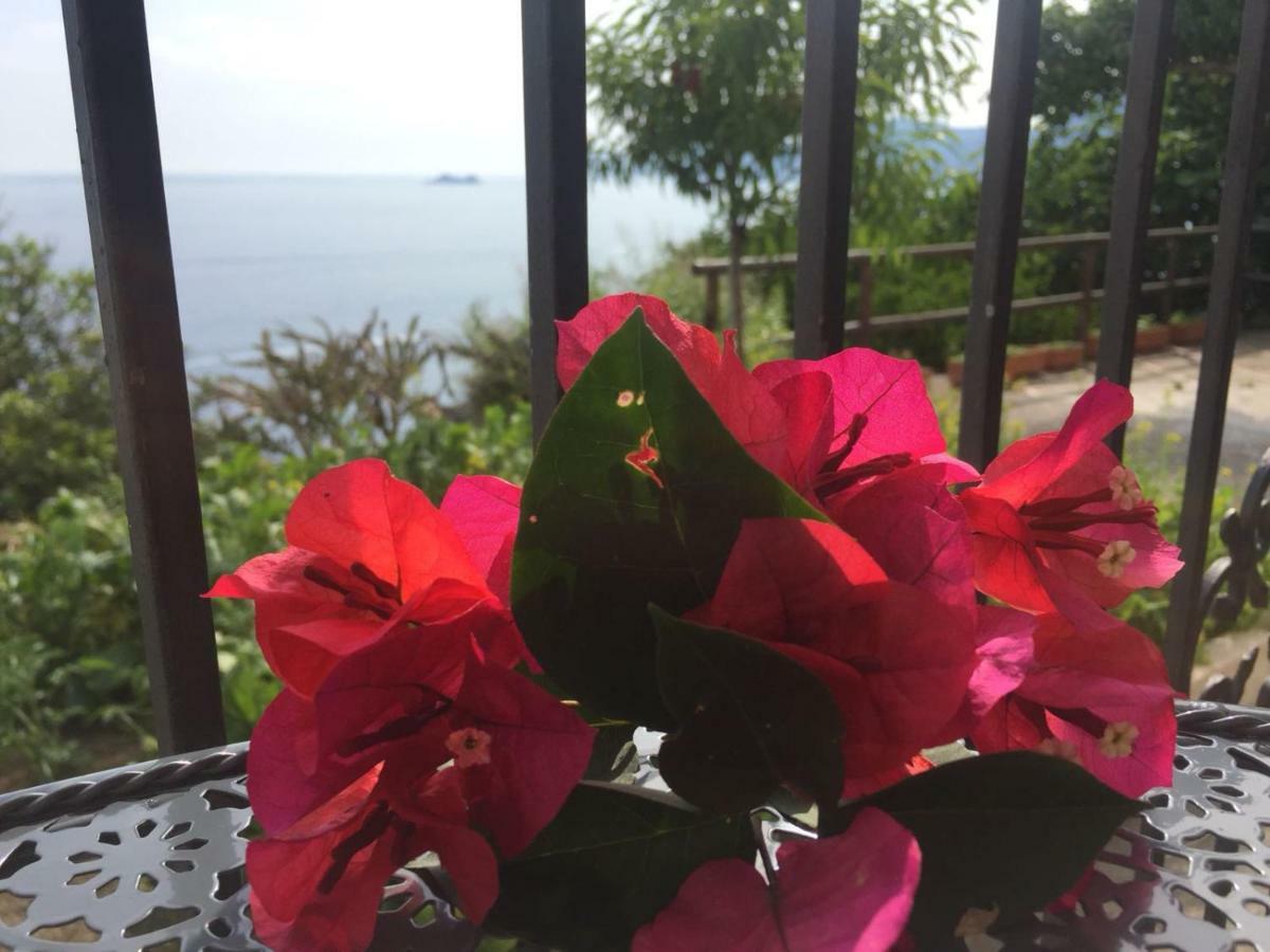 Casa Rosetta Villa Praiano Ngoại thất bức ảnh